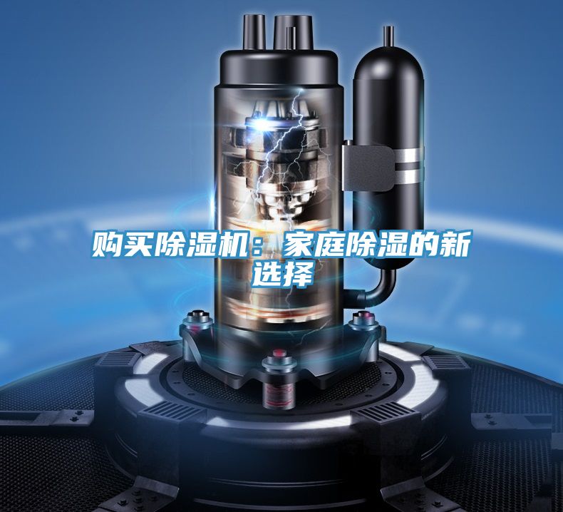 購買草莓小视频黄色：家庭除濕的新選擇