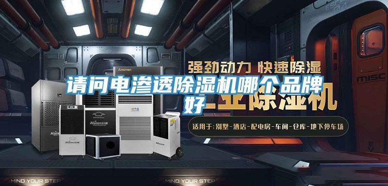 請問電滲透草莓小视频黄色哪個品牌好