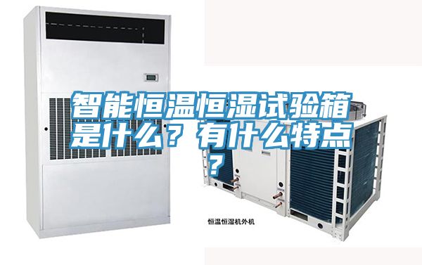 智能恒溫恒濕試驗箱是什麽？有什麽特點？