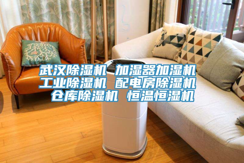 武漢草莓小视频黄色 加濕器加濕機 工業草莓小视频黄色 配電房草莓小视频黄色 倉庫草莓小视频黄色 恒溫恒濕機