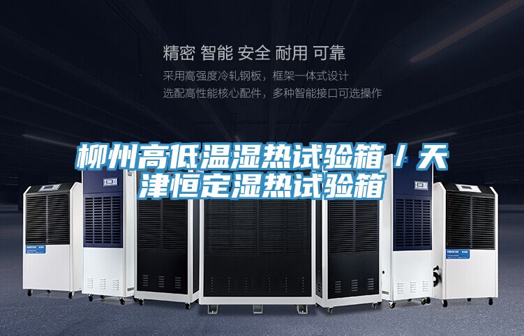 柳州高低溫濕熱試驗箱/天津恒定濕熱試驗箱