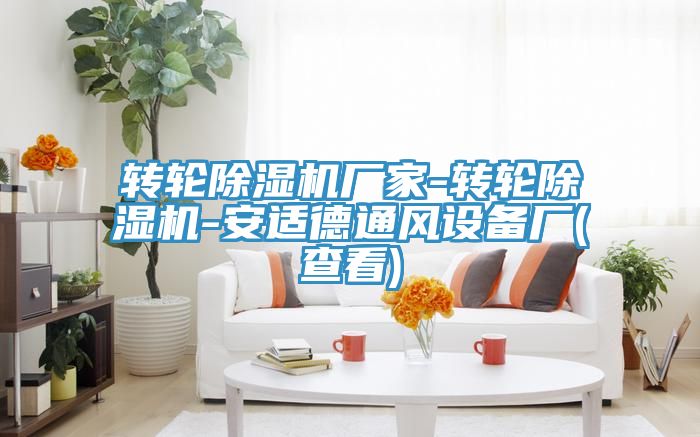 轉輪草莓小视频黄色廠家-轉輪草莓小视频黄色-安適德通風設備廠(查看)