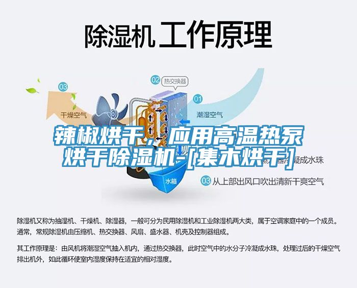 辣椒烘幹，應用高溫熱泵烘幹草莓小视频黄色-[集木烘幹]