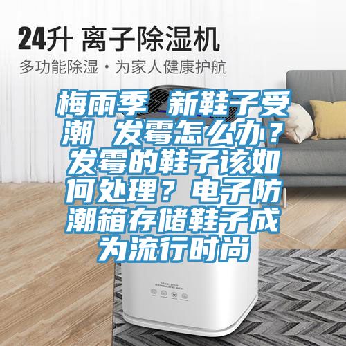 梅雨季 新鞋子受潮 發黴怎麽辦？發黴的鞋子該如何處理？電子防潮箱存儲鞋子成為流行時尚