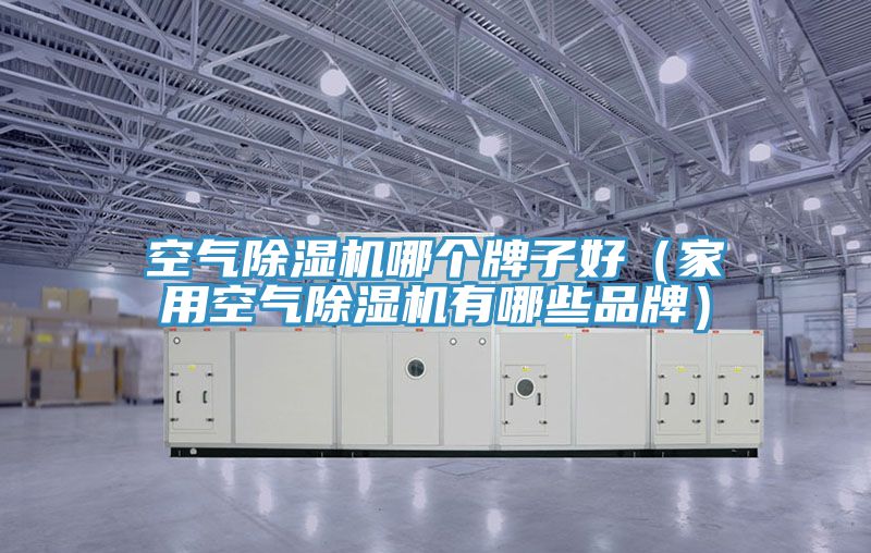 空氣草莓小视频黄色哪個牌子好(家用空氣草莓小视频黄色有哪些品牌)