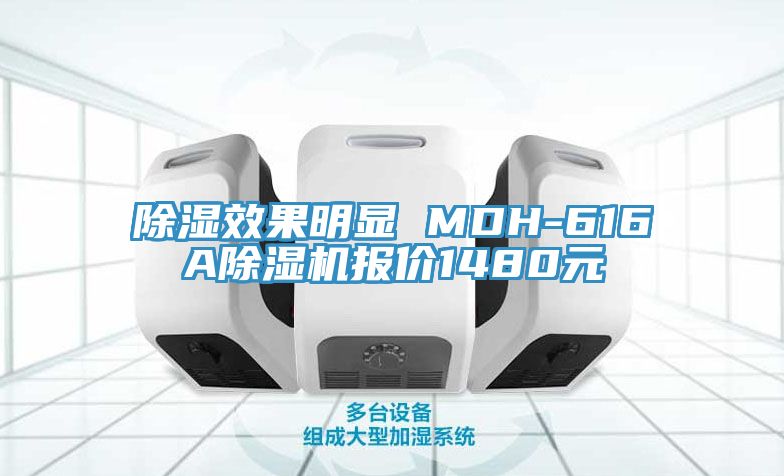 除濕效果明顯 MDH-616A草莓小视频黄色報價1480元