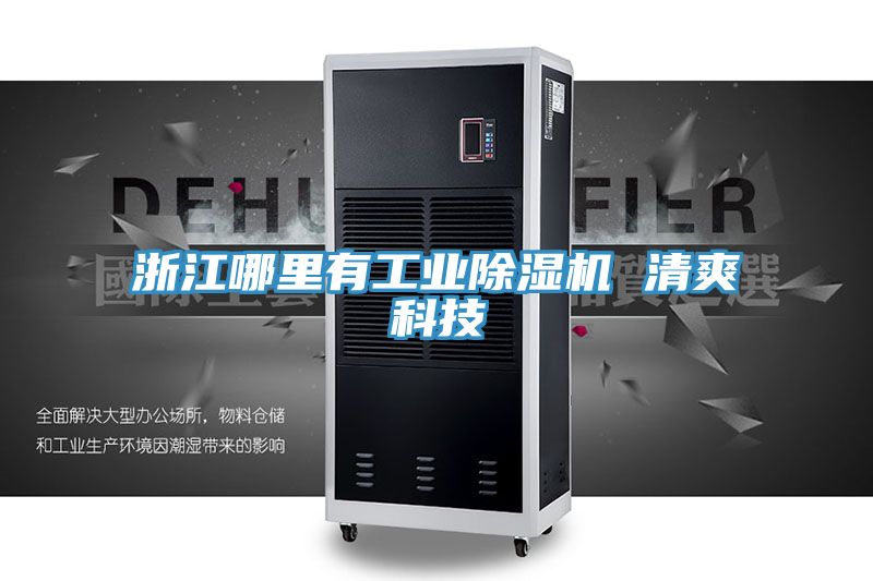 浙江哪裏有工業草莓小视频黄色 清爽科技