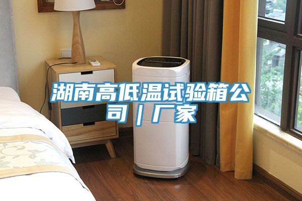 湖南高低溫試驗箱公司|廠家
