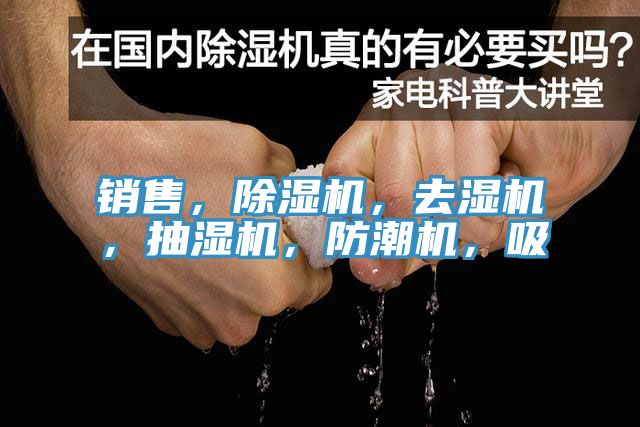 銷售，草莓小视频黄色，去濕機，抽濕機，防潮機，吸