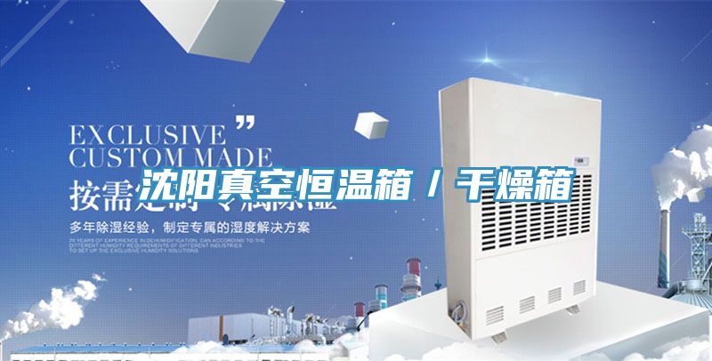 沈陽真空恒溫箱/幹燥箱