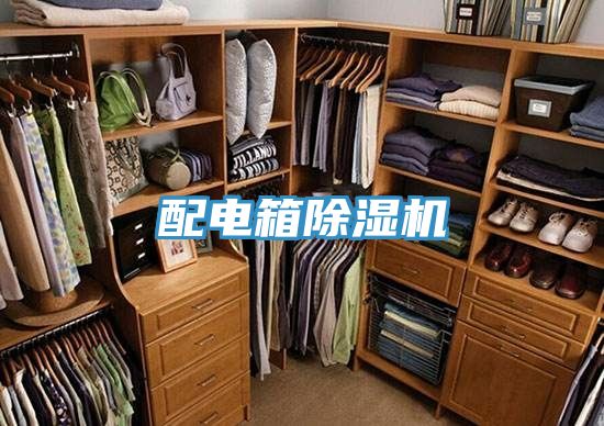 配電箱草莓小视频黄色