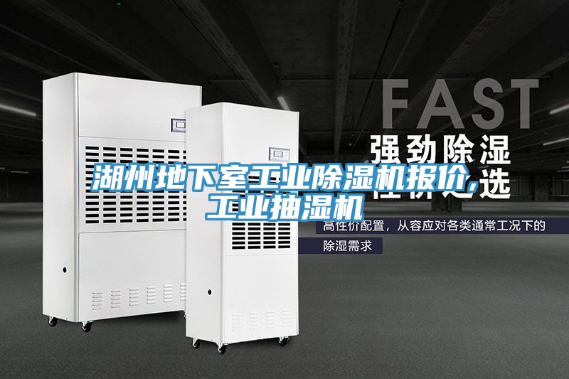 湖州地下室工業草莓小视频黄色報價,工業抽濕機