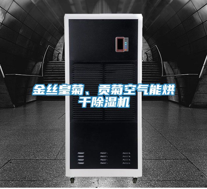 金絲皇菊、貢菊空氣能烘幹草莓小视频黄色