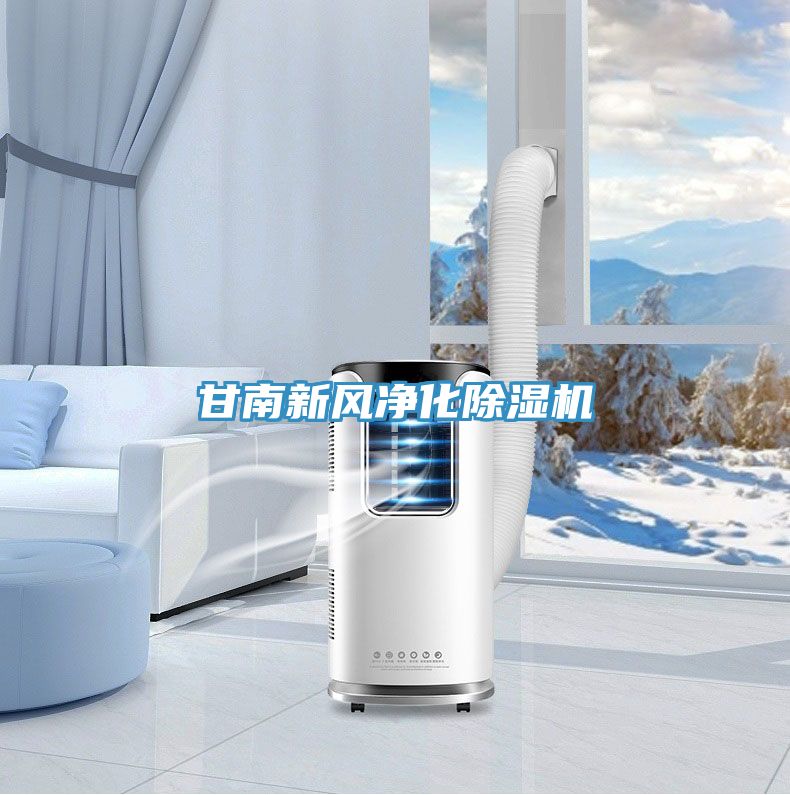 甘南新風淨化草莓小视频黄色