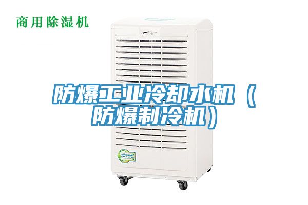 防爆工業冷卻水機(防爆製冷機)