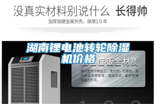 湖南鋰電池轉輪草莓小视频黄色價格