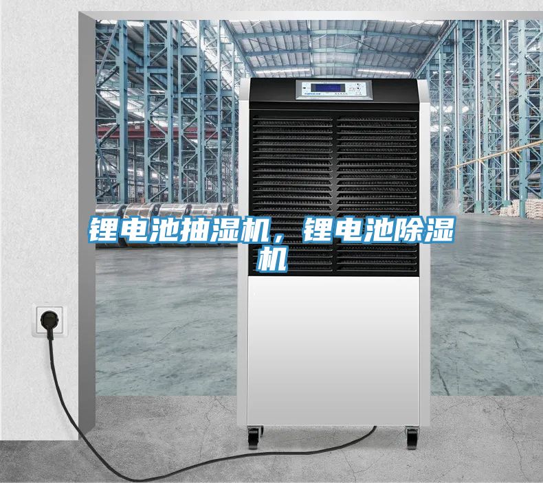 鋰電池抽濕機，鋰電池草莓小视频黄色