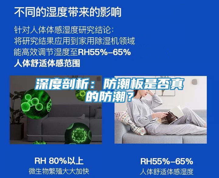 深度剖析：防潮板是否真的防潮？
