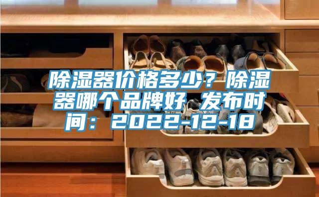 除濕器價格多少？除濕器哪個品牌好 發布時間：2022-12-18