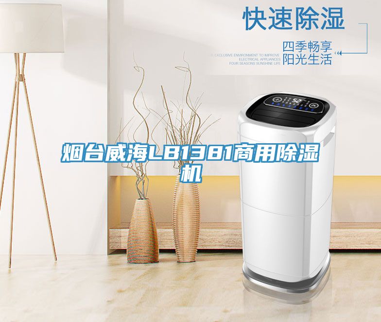 煙台威海LB1381商用草莓小视频黄色