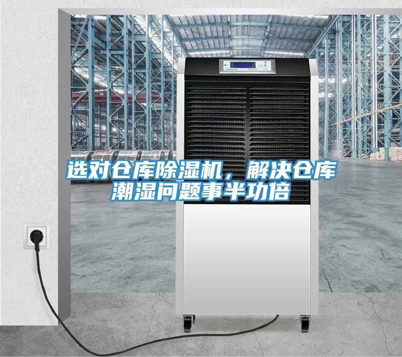 選對倉庫草莓小视频黄色，解決倉庫潮濕問題事半功倍