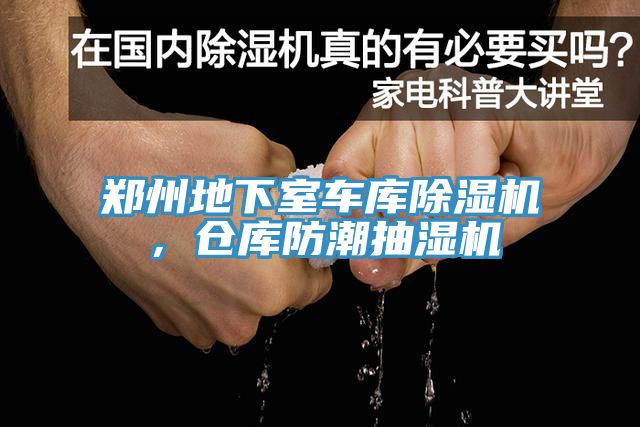 鄭州地下室車庫草莓小视频黄色，倉庫防潮抽濕機