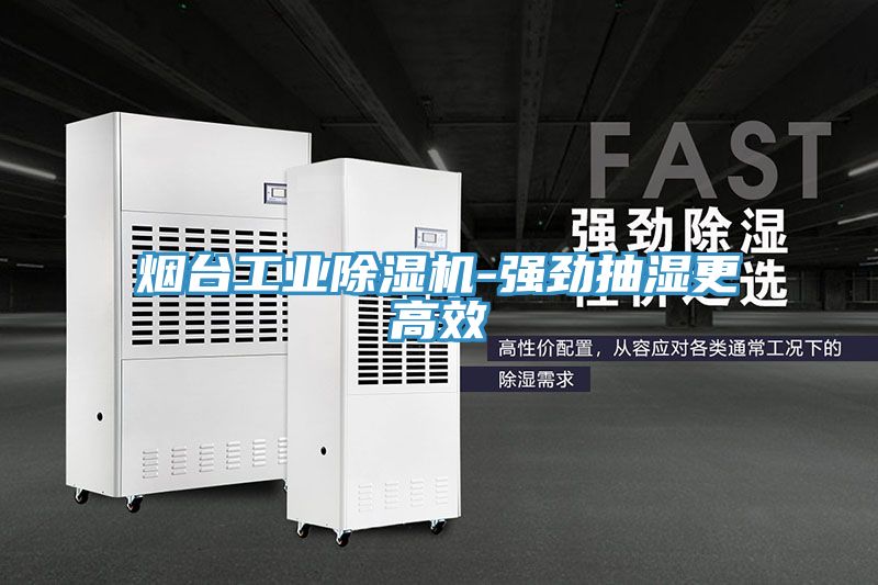 煙台工業草莓小视频黄色-強勁抽濕更高效