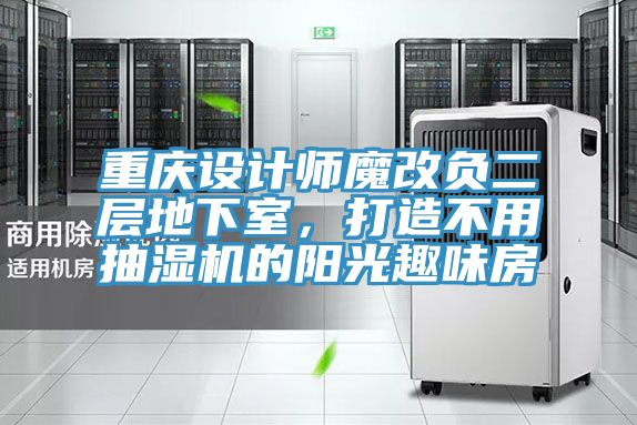 重慶設計師魔改負二層地下室，打造不用抽濕機的陽光趣味房