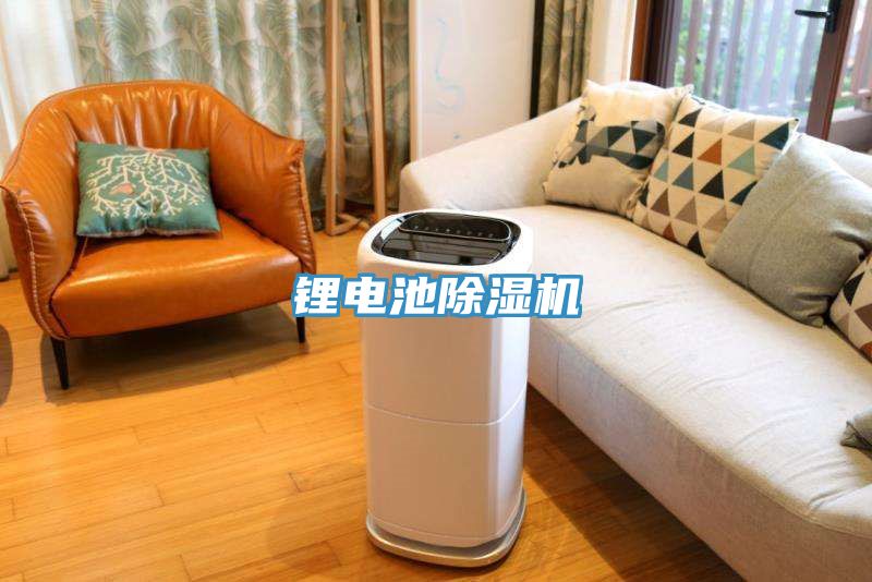 鋰電池草莓小视频黄色