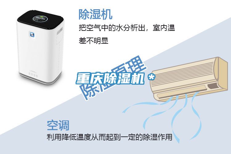 重慶草莓小视频黄色*