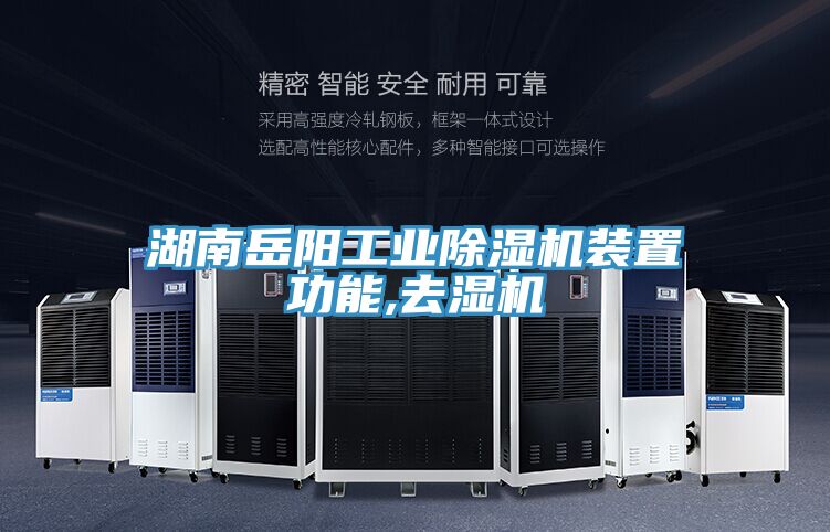 湖南嶽陽工業草莓小视频黄色裝置功能,去濕機