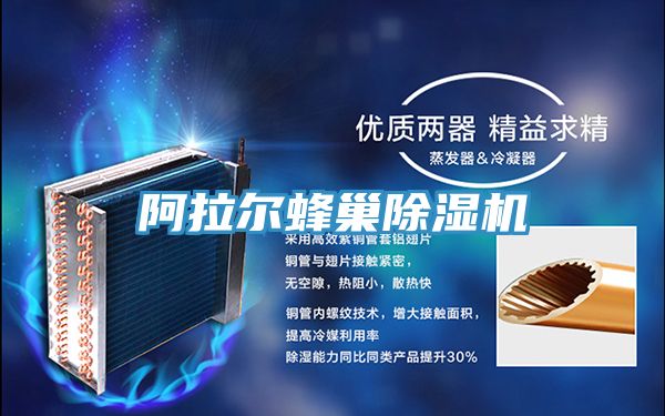 阿拉爾蜂巢草莓小视频黄色