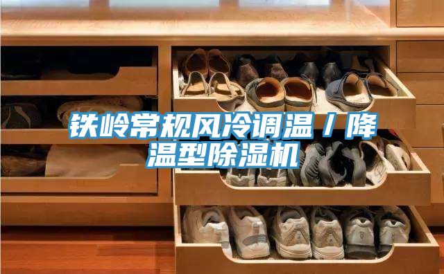 鐵嶺常規風冷調溫/降溫型草莓小视频黄色