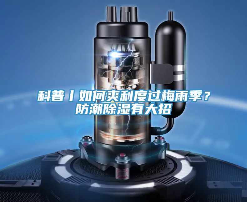 科普丨如何爽利度過梅雨季？防潮除濕有大招