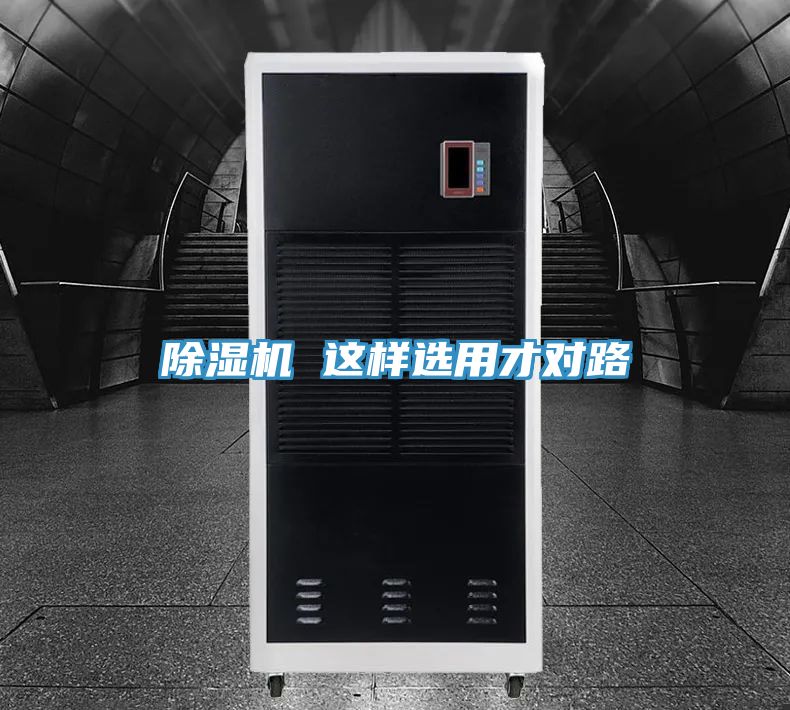 草莓小视频黄色 這樣選用才對路