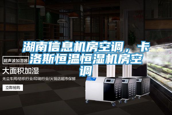 湖南信息機房空調，卡洛斯恒溫恒濕機房空調