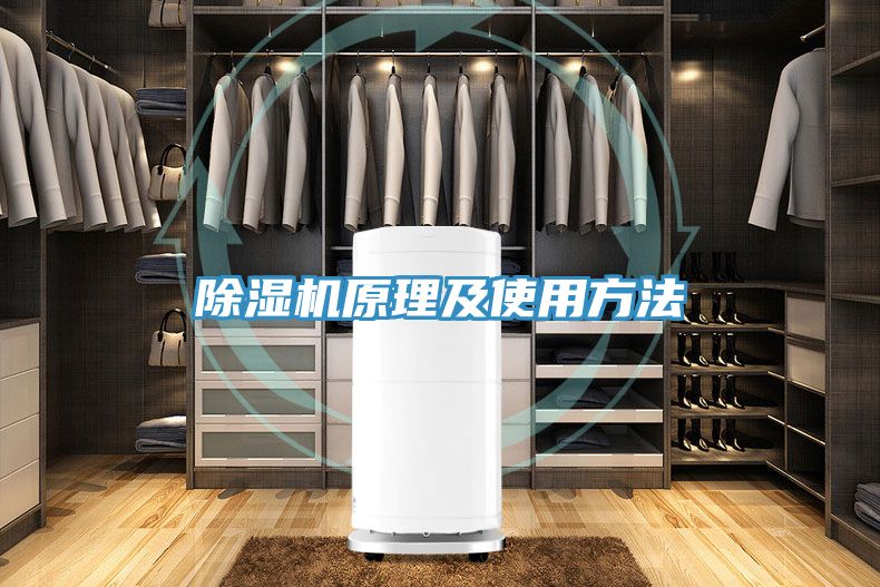 草莓小视频黄色原理及使用方法