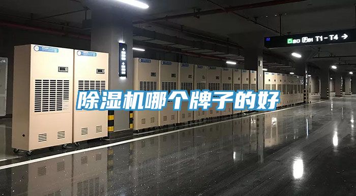 草莓小视频黄色哪個牌子的好