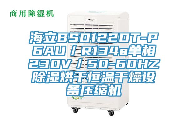 海立BSD122DT-P6AU/R134a單相230V/50-60HZ除濕烘幹恒溫幹燥設備壓縮機