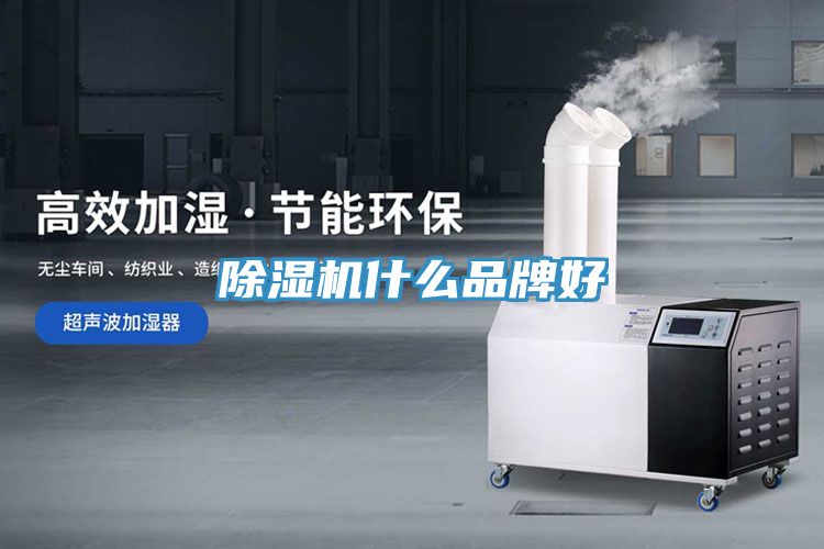 草莓小视频黄色什麽品牌好