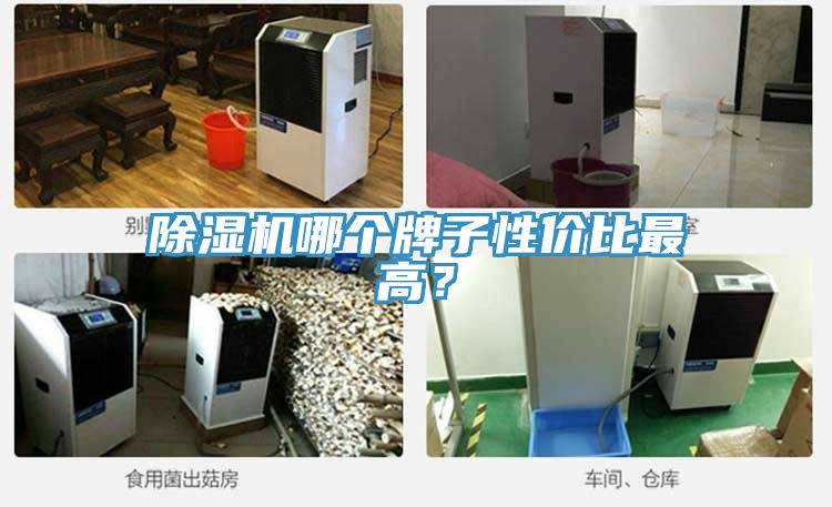 草莓小视频黄色哪個牌子性價比最高？