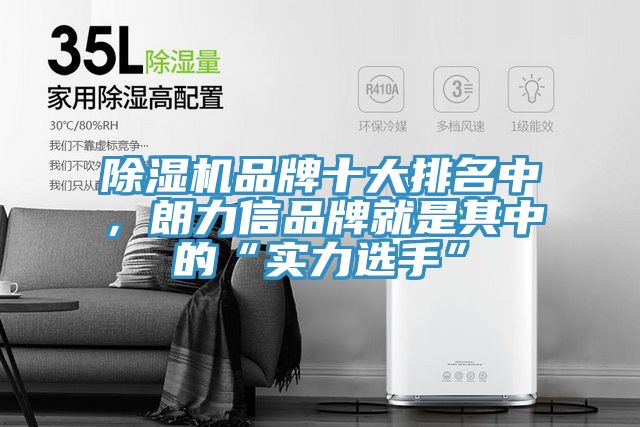 草莓小视频黄色品牌十大排名中，朗力信品牌就是其中的“實力選手”