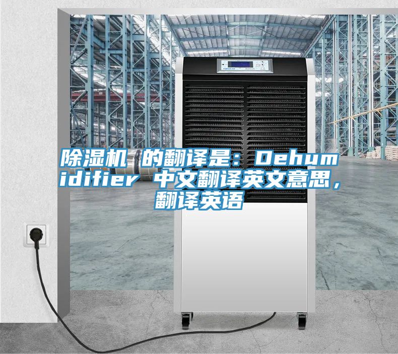 草莓小视频黄色 的翻譯是：Dehumidifier 中文翻譯英文意思，翻譯英語