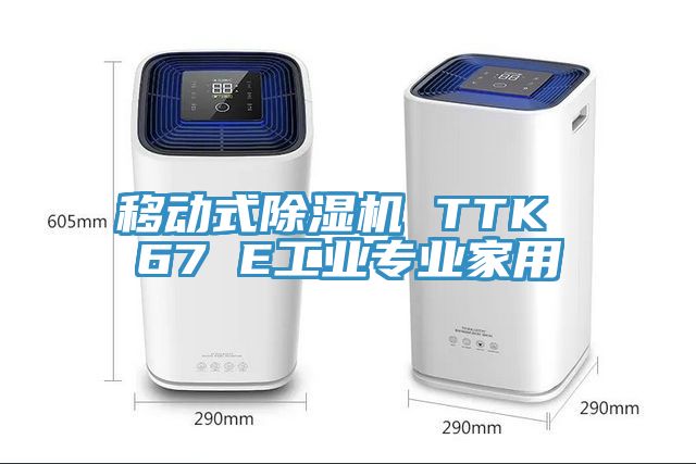 移動式草莓小视频黄色 TTK 67 E工業專業家用