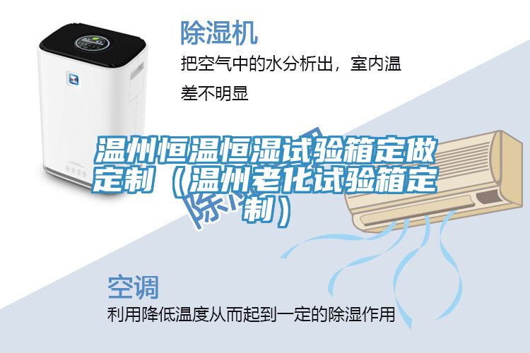 溫州恒溫恒濕試驗箱定做定製(溫州老化試驗箱定製)