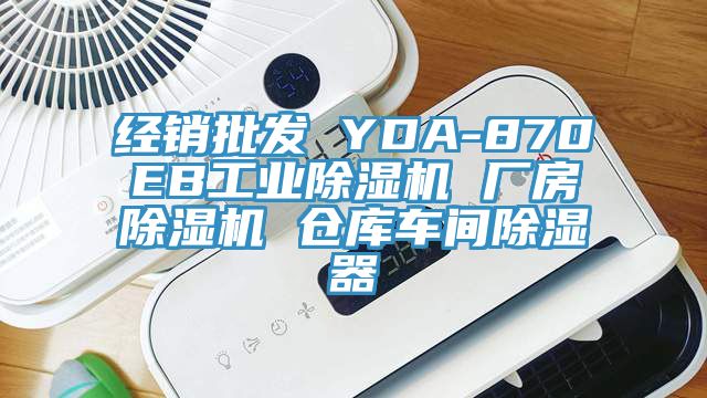 經銷批發 YDA-870EB工業草莓小视频黄色 廠房草莓小视频黄色 倉庫車間除濕器
