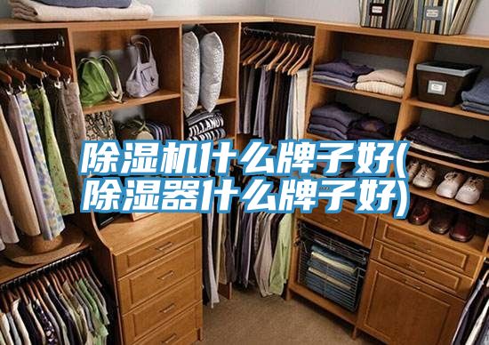 草莓小视频黄色什麽牌子好(除濕器什麽牌子好)