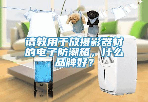 請教用於放攝影器材的電子防潮箱，什麽品牌好？