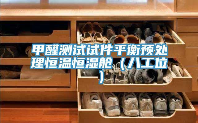 甲醛測試試件平衡預處理恒溫恒濕艙(八工位)