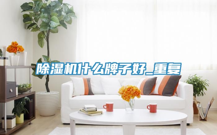 草莓小视频黄色什麽牌子好_重複